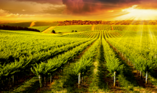 Agricultural Lending Online Training Course