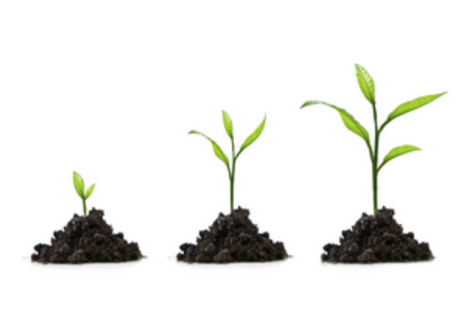 Leading Growth Firms Certificate (3 modules) Online Training Course