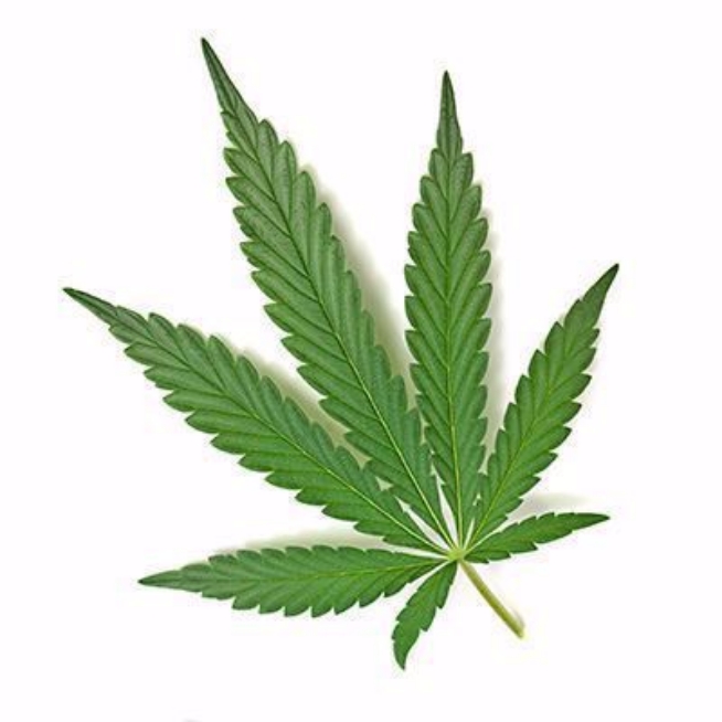 L`affaiblissement des facultés et le cannabis au travail (CCHST) Online Training Course