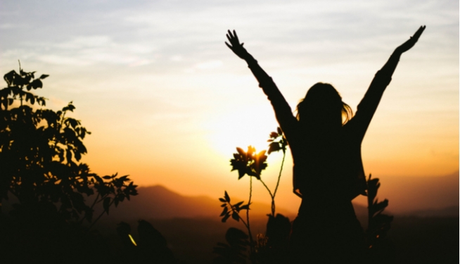 Virtues for a Happy Life Online Training Course