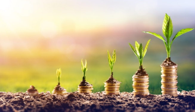 Investing Online Training Course