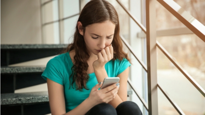 Cyberbullying Online Training Course