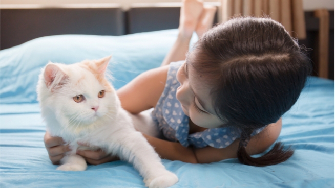 Care for Your Cat Online Training Course