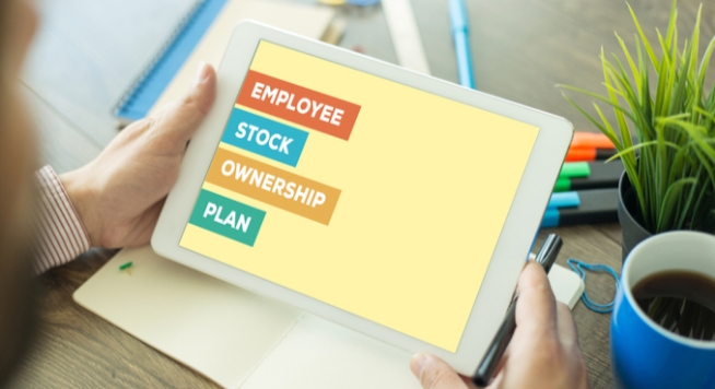 Les principes de base des régimes d`actionnariat des salariés : pour conseillers Online Training Course