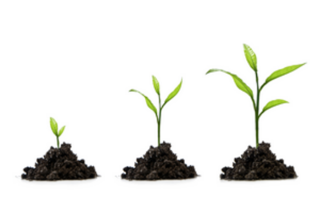 Les entreprises de croissance Online Training Course