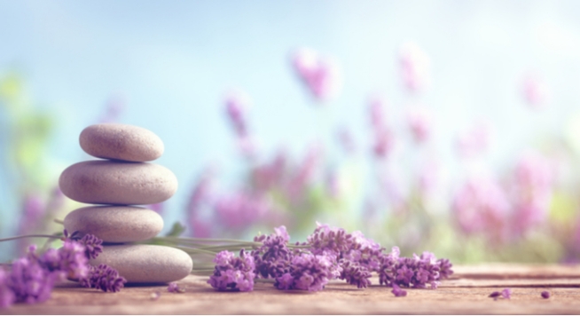 Relax! Online Training Course