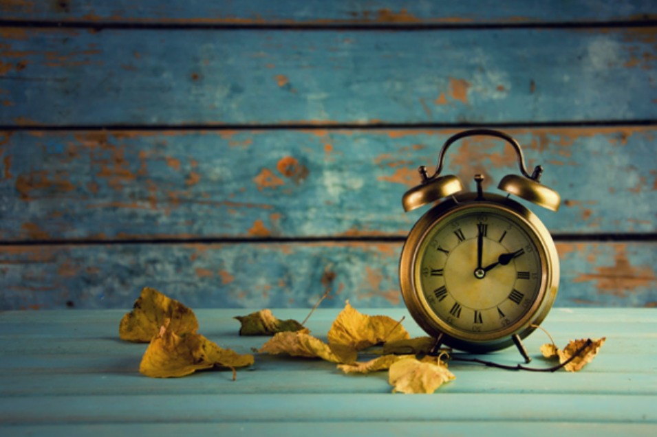 Now is the Time for Online Training