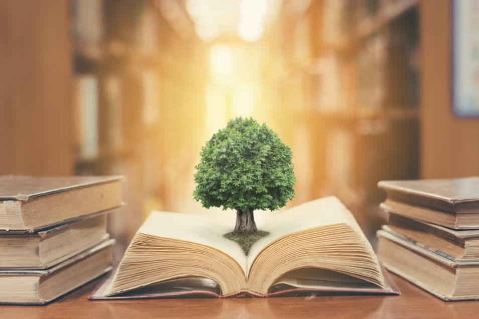 Best Education Studies of 2020