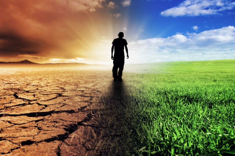 Change Your eLearning Development