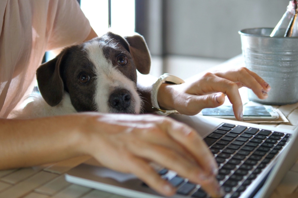 The Benefits of Learning from Home
