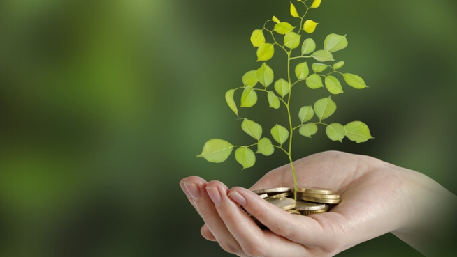 Investing 101 Online Training Course