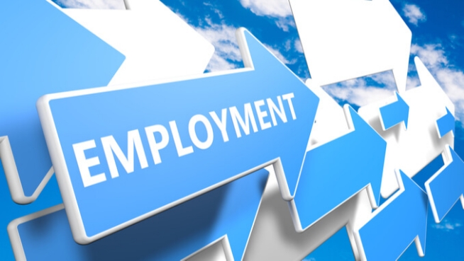 Les normes de l`emploi Online Training Course