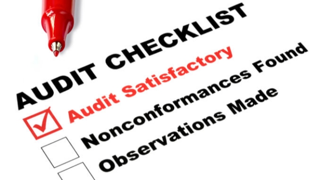 Auditing: The Basics Online Training Course