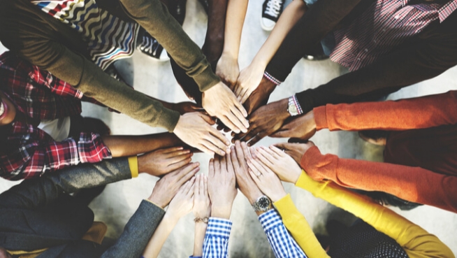 Developing Diverse Teams Online Training Course