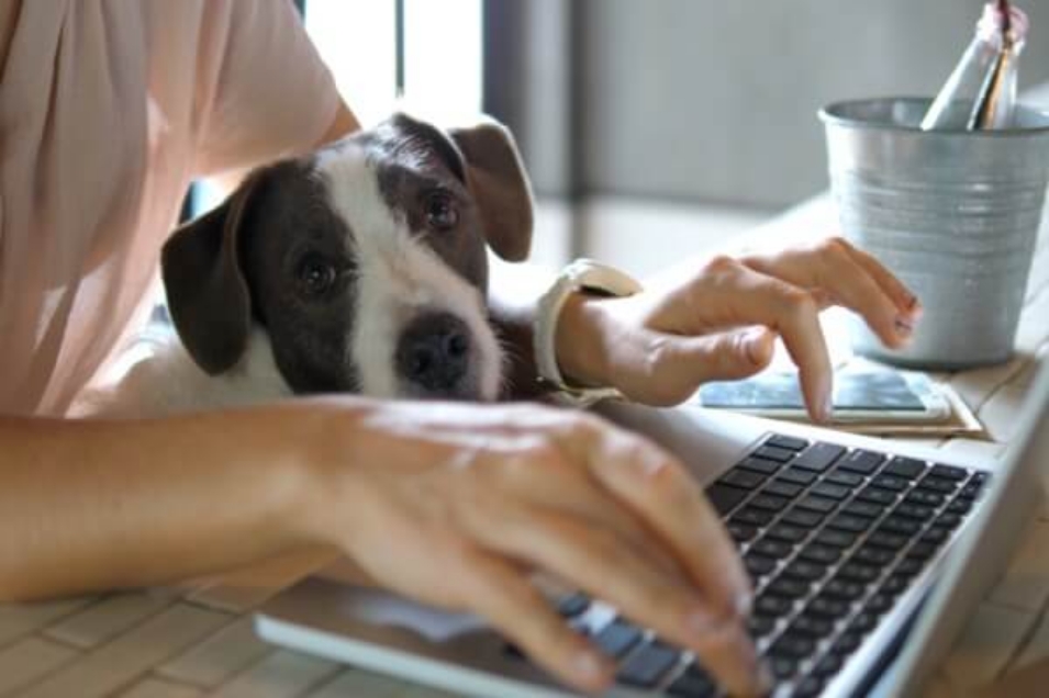 Remote Learning Productivity Tips